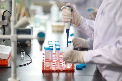 有实力，有生机 在西华大学食品生物类专业的探索之旅